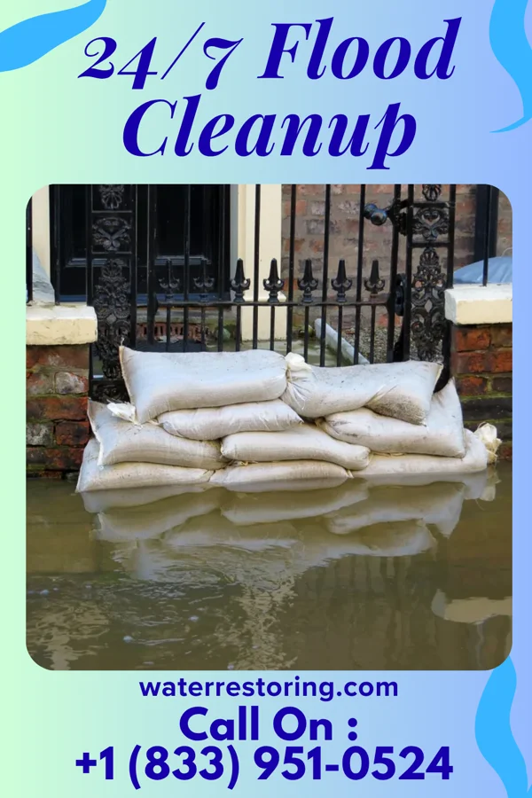 24/7 Flood Cleanup in Good Thunder, MN