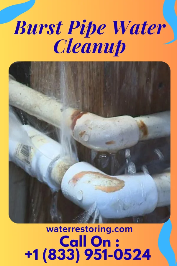 Burst Pipe Water Cleanup in Good Thunder, MN