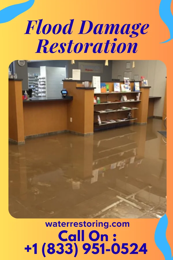 Flood Damage Restoration in Good Thunder, MN