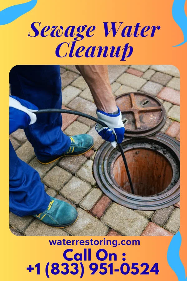 Sewage Water Cleanup in Good Thunder, MN