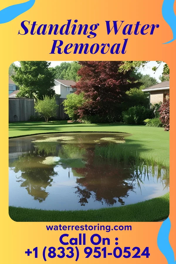 Standing Water Removal in Good Thunder, MN
